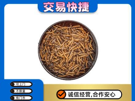 黄冈回收散虫草
